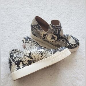 Steve Madden Women’s Wrangle snake print platform high top sneakers US 7 M